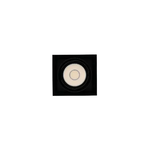 [WO_E13_D] 雙色調光AR111單盒燈